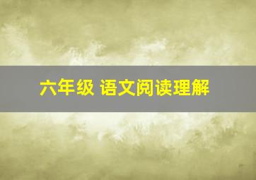 六年级 语文阅读理解